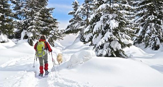 Escursioni con le Ciaspole in Val di Non!